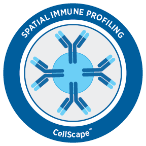 Three Col Image